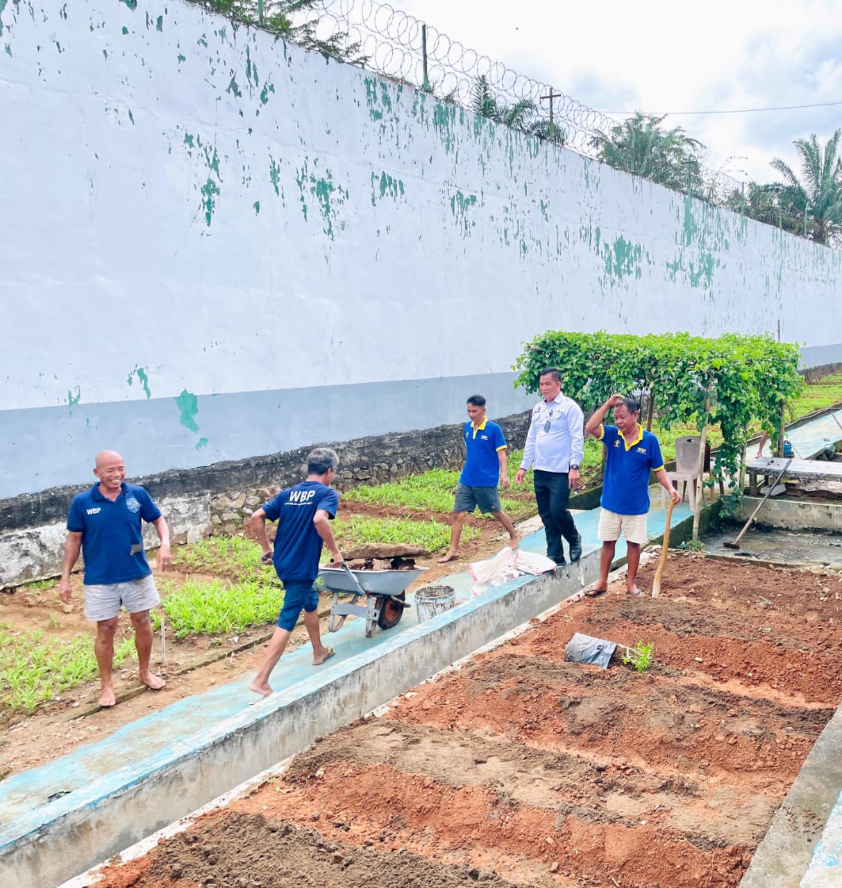 Sinergi Pembinaan dan Ketahanan Pangan, Lapas Narkotika Muara Beliti Buka Area Pertanian Baru