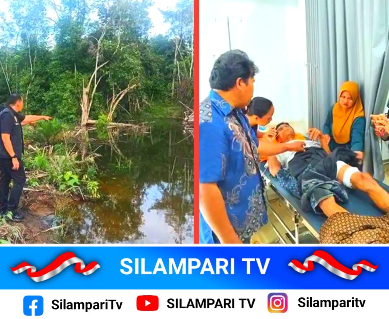 Cari Pakan Ternak, Warga Purwodadi Musi Rawas Diserang Buaya di Sungai Lesing