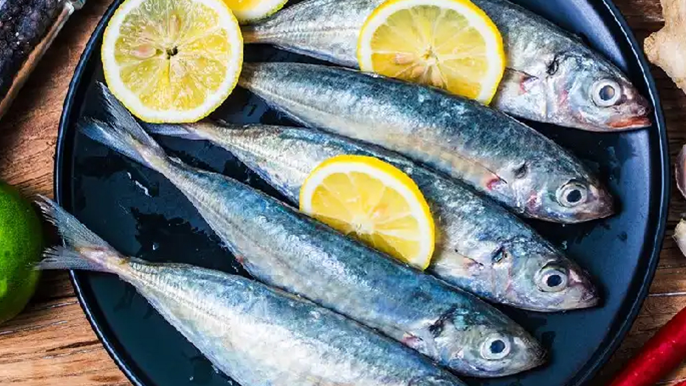 Jenis Ikan yang Aman Dikonsumsi bagi Penderita Asam Urat: Pilihan Sehat untuk Mendukung Kesehatan Sendi