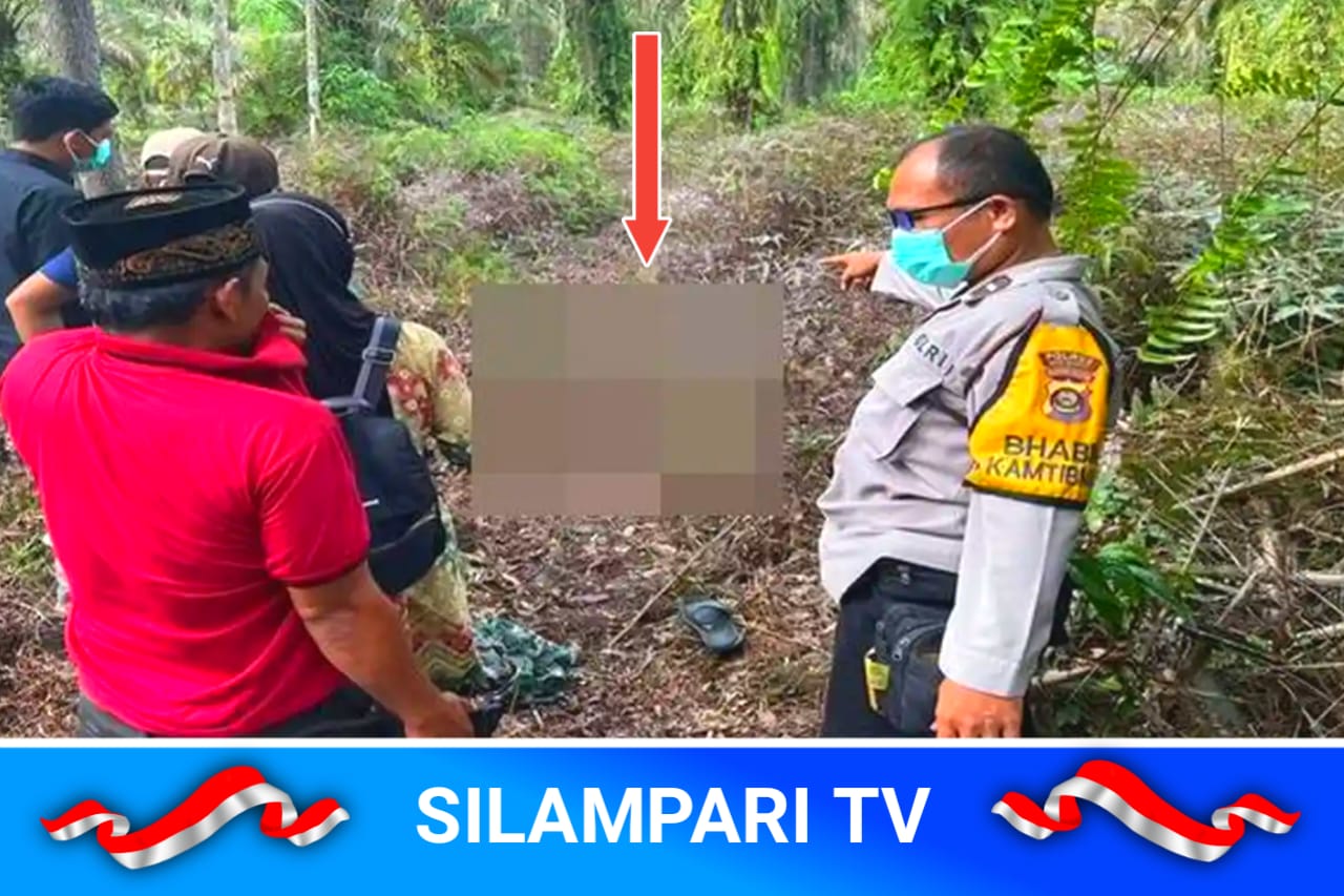 Menghilang 10 Hari, Pria Lansia Ditemukan Tewas di Kebun Sawit Megang Sakti Musi Rawas.