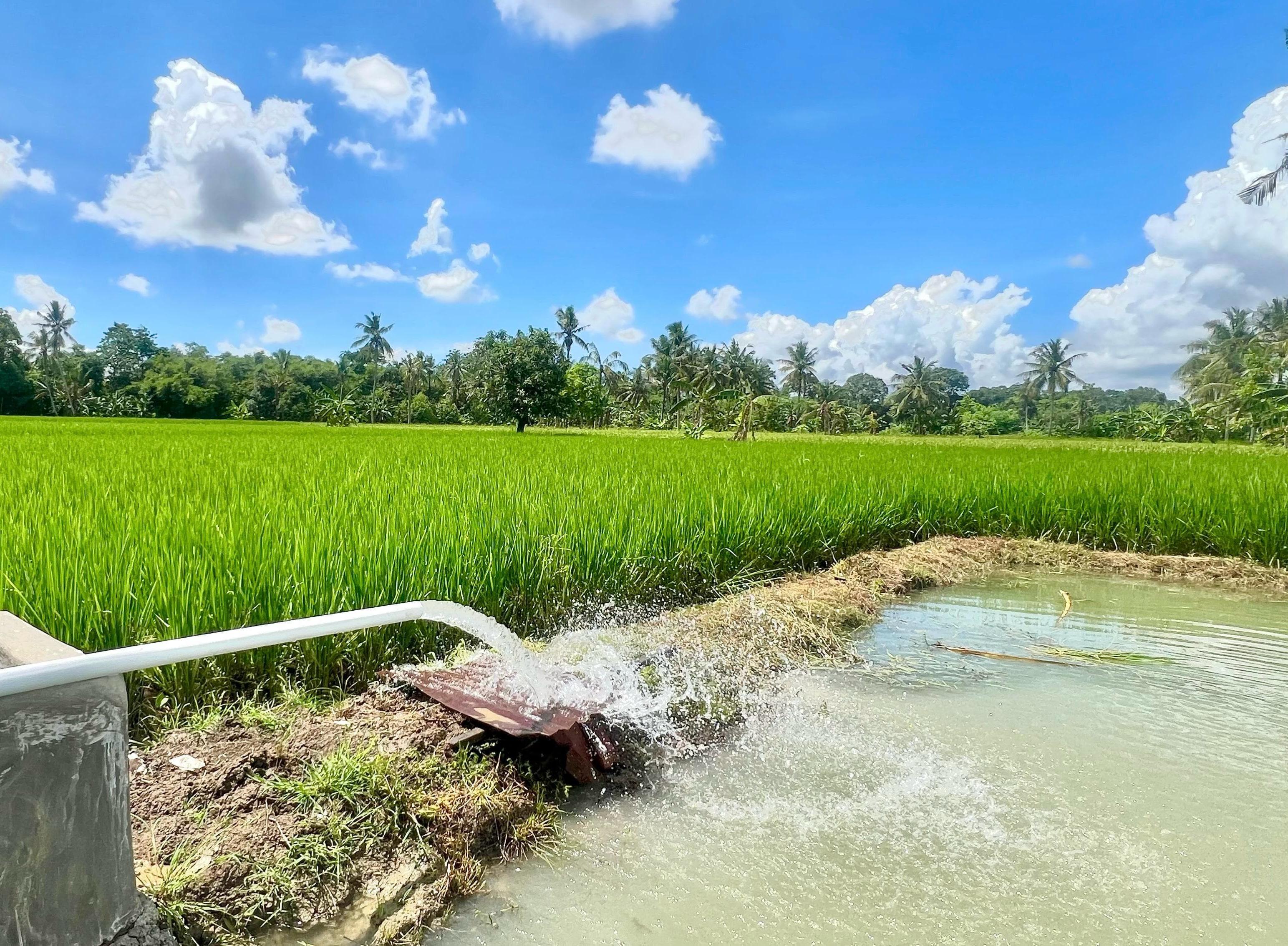 Pemerintah Putuskan Tarif Listrik TW II Tidak Naik, PLN Siap Beri Pelayanan Optimal Seluruh Pelanggan