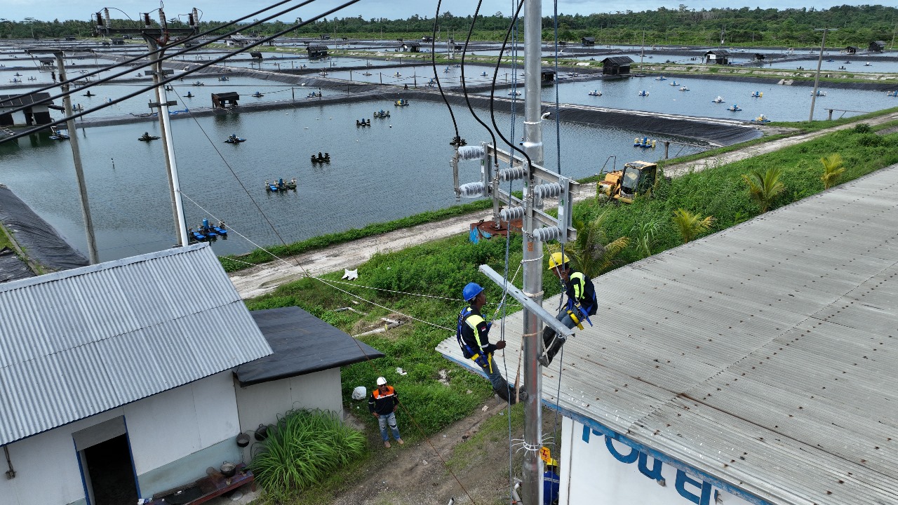 Perusahaan Tambak Udang di Maluku Berhasil Efisiensi Rp123 Juta Lebih per Hari Berkat Listrik PLN