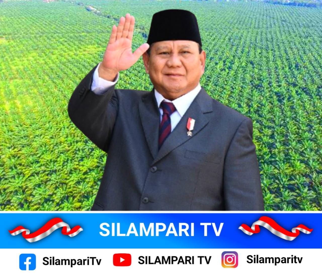 Prabowo Rencana Tambah Sawit di Papua Tuai Kritik, Pengamat Soroti Dampak Ekologis