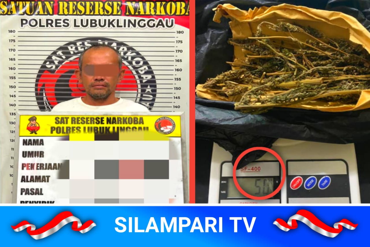 Satresnarkoba Lubuk Linggau Berhasil Amankan Ganja Siap Edar Dari Pria Paruh Baya