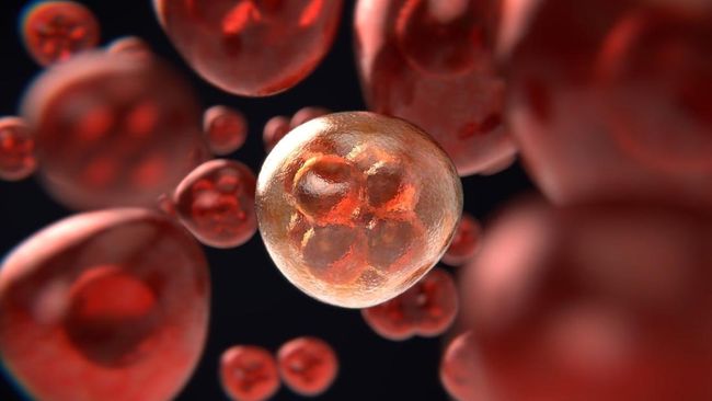 WHO Peringatkan Kasus Kanker Global Bisa Tembus 35 Juta per Tahun pada 2050