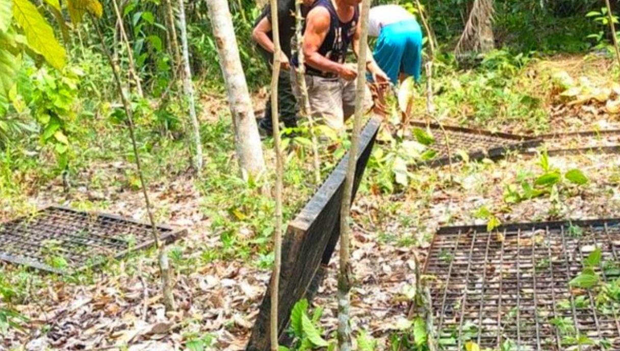 Perangkap Sudah Dipasang, Beruang Madu di Lubuklinggau Masih Misterius