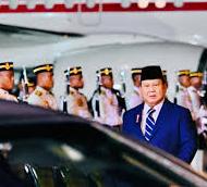 Presiden Prabowo: Permintaan Kelapa Sawit Terus Meningkat di Pasar Global