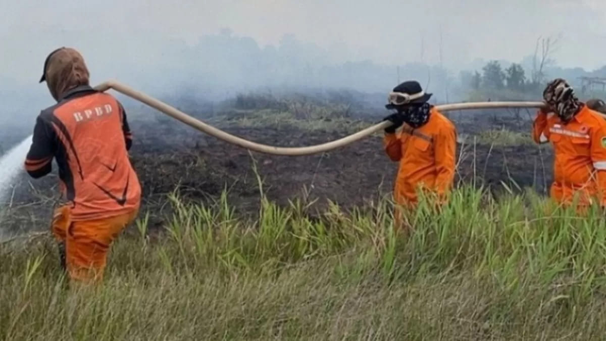 Lima Daerah di Sumsel Tetapkan Status Siaga Karhutla, Banyuasin Jadi Wilayah Terbaru