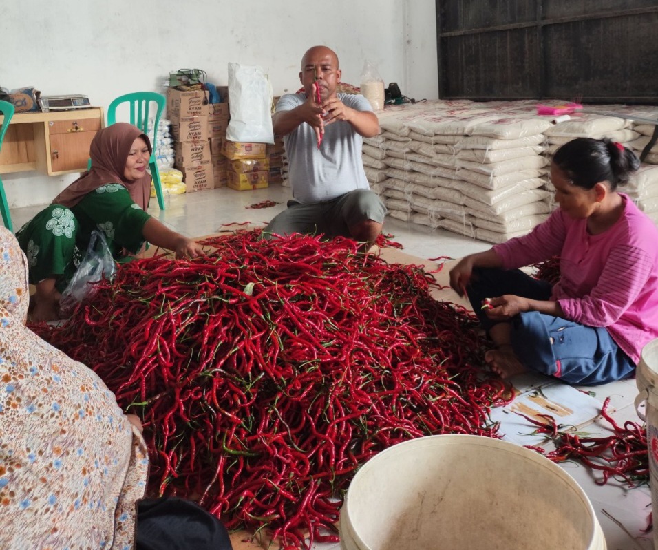 Perkuat Ketahanan Pangan dan Gizi Nasional, BRI Salurkan Pembiayaan Kepada Koperasi Penyuplai Bahan Pangan MBG