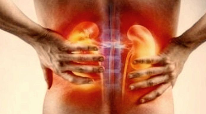 10 Sayuran Terbaik untuk Menjaga Kesehatan Ginjal: Enak, Sehat, dan Mudah Didapat!