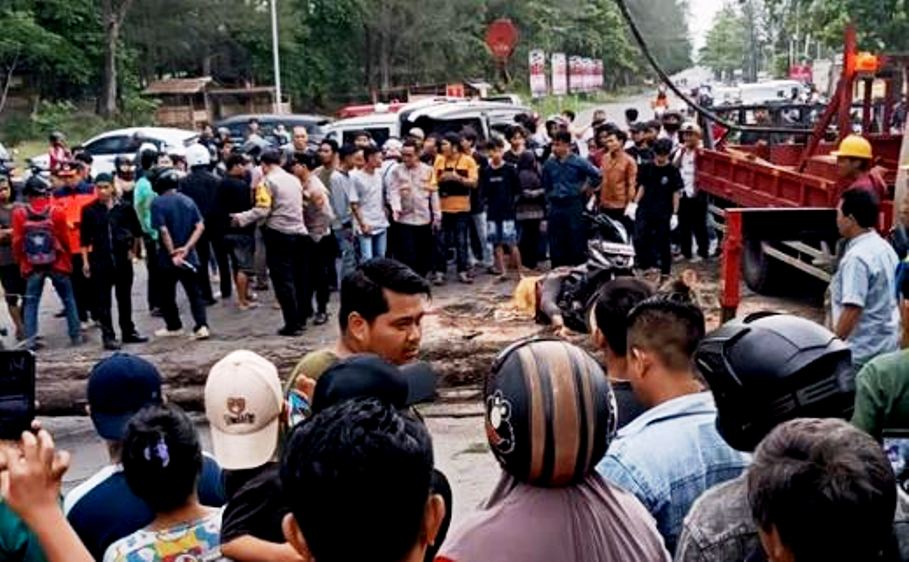 Seorang ASN Tewas Tertimpa Pohon Tumbang di Pantai Panjang Bengkulu