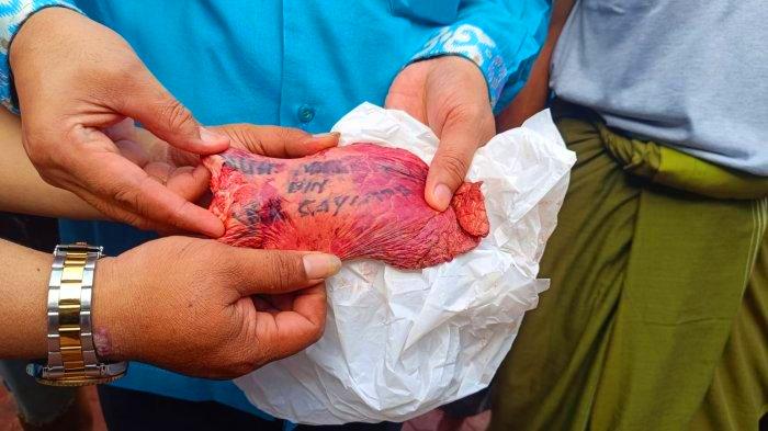 Viral! Paru Sapi Bertuliskan Nama Orang yang Berkurban di Tangsel, Ustaz Sebut Sebagai Keajaiban
