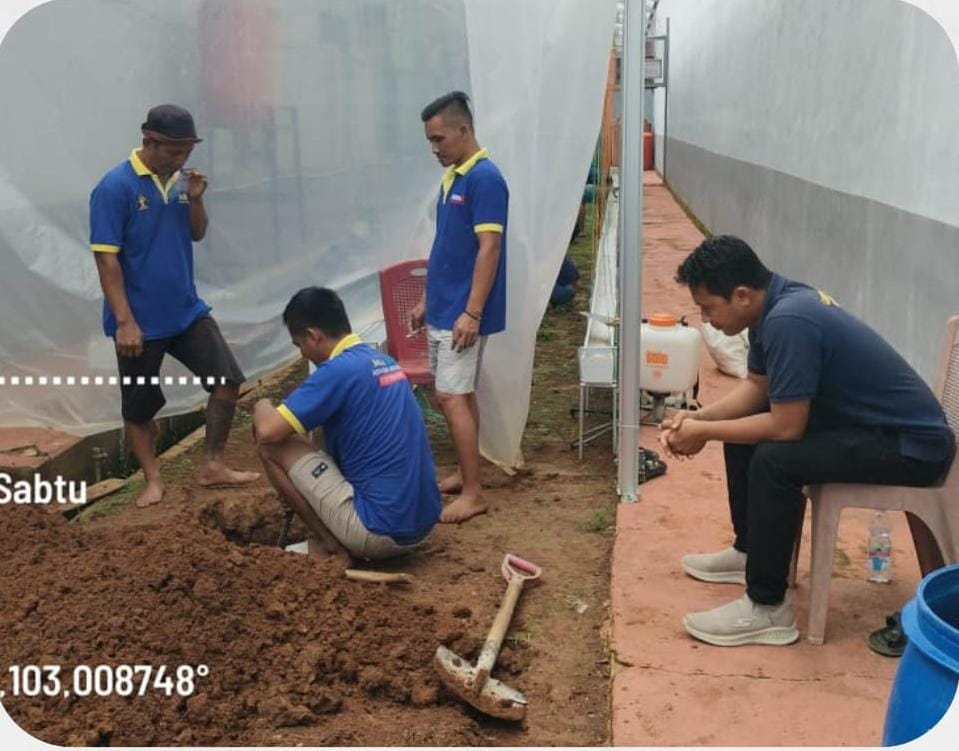 Dukung Program Aksi Kemenimipas, Lapas Narkotika Muara Beliti Manfaatkan Lahan untuk Budidaya Melon Belanda