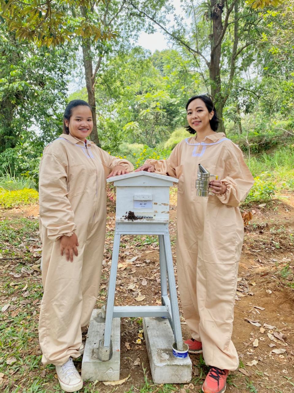 UMKM Madu Lokal Naik Kelas! Tembus Pasar Global Berkat Dukungan BRI