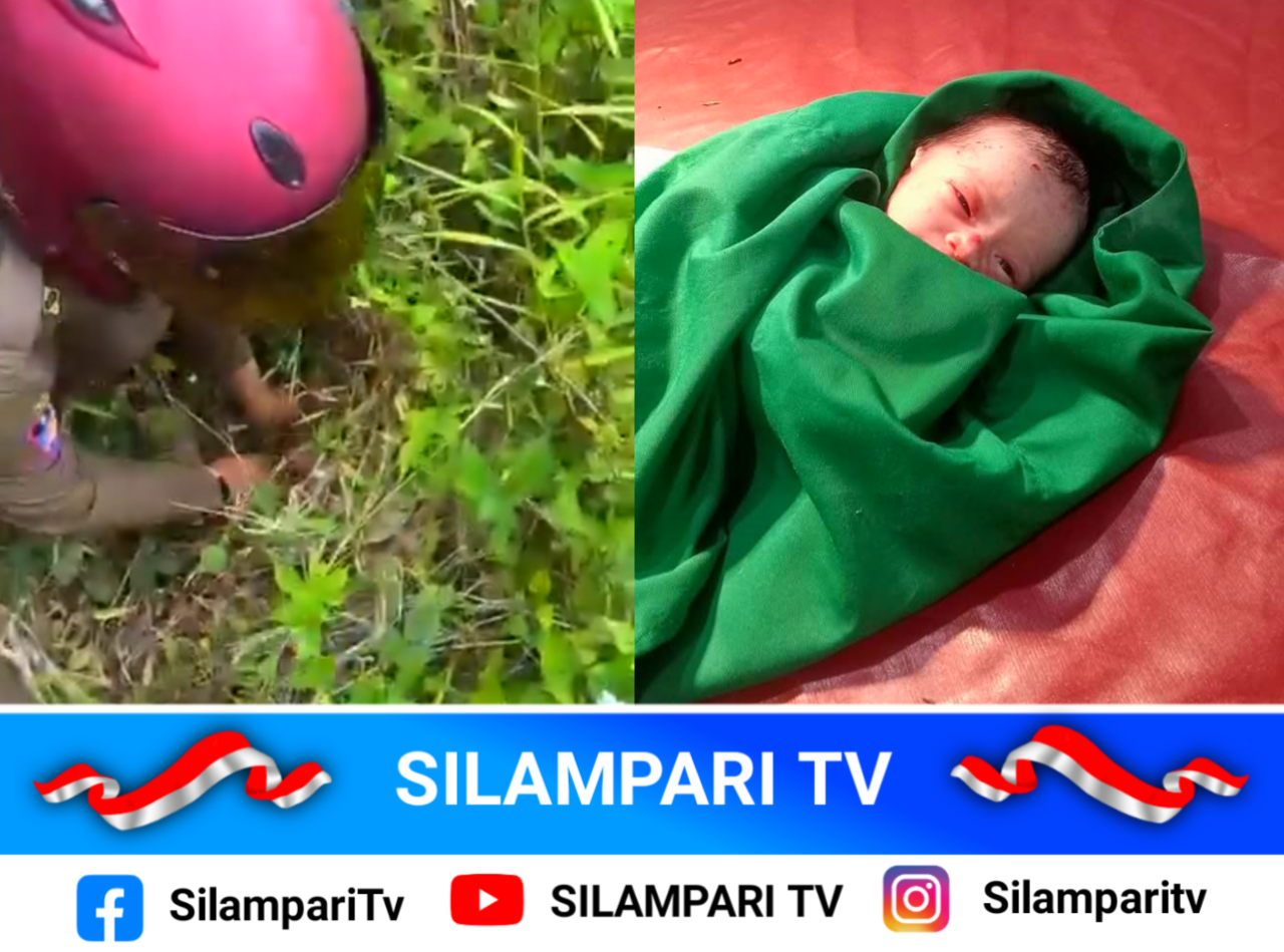 Bayi Perempuan Ditemukan di Semak-semak, Warga Empat Lawang Geger