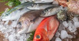 Jarang Disadari, Ini Daftar Ikan Tinggi Natrium yang Patut Diwaspadai Penderita Hipertensi