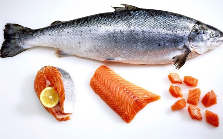 Pilihlah 4 Jenis Ikan Tinggi Protein yang Bisa Membantu Mencegah Stunting pada Anak