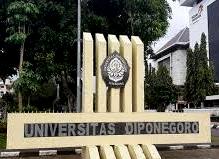 Prediksi Nilai Rata-Rata SNBP 2025 Universitas Diponegoro (Undip) Berdasarkan Data Pendaftar Tahun 2024