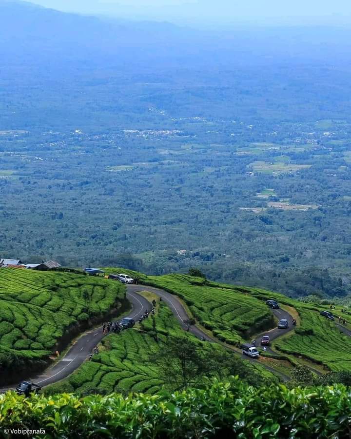 Nikmati Pemandangan Indah dan Sejuk dari atas Gunung Dempo, Ini Tips Berwisata di Gunung Dempo Pagar Alam