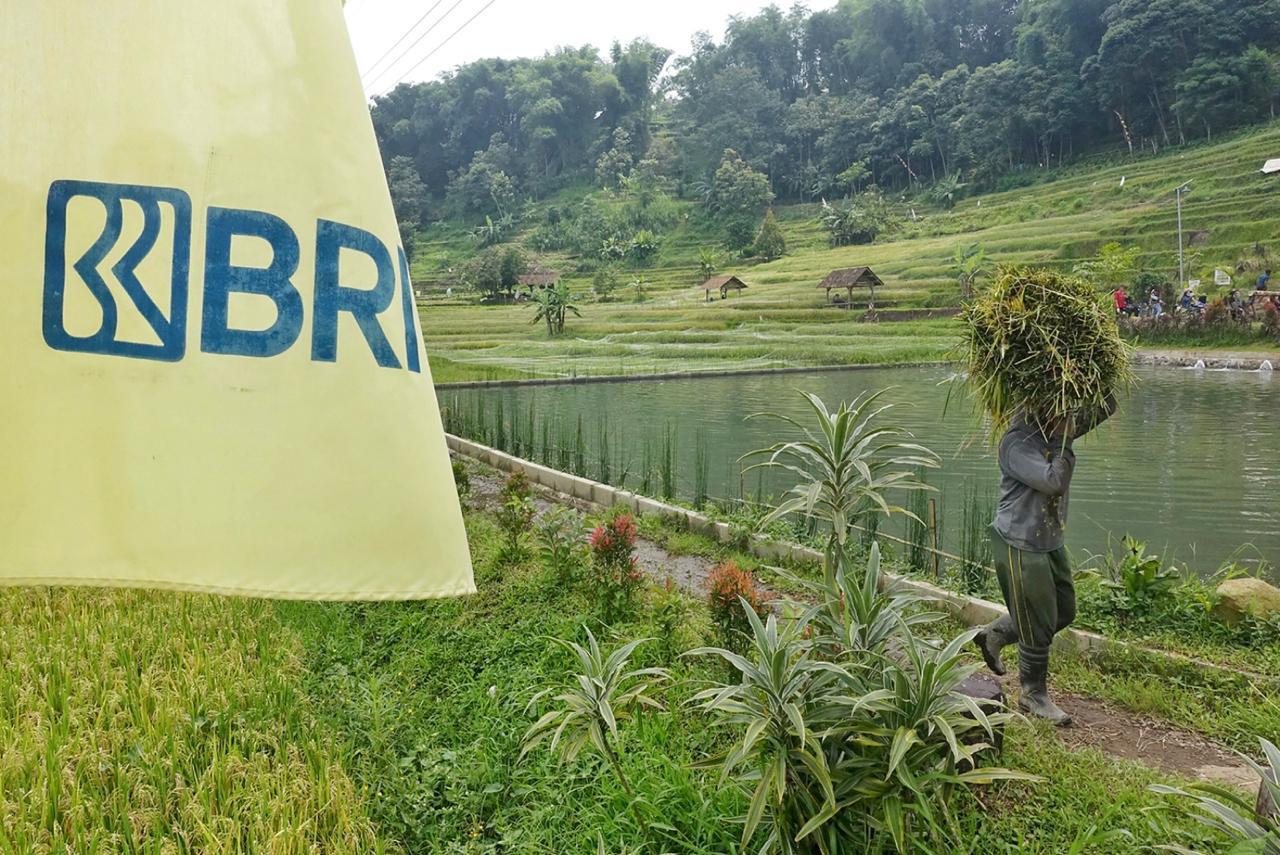 Ramah Lingkungan dan Berdampak Sosial, Ini Komitmen Nyata BRI Terapkan Prinsip ESG untuk Bisnis Berkelanjutan