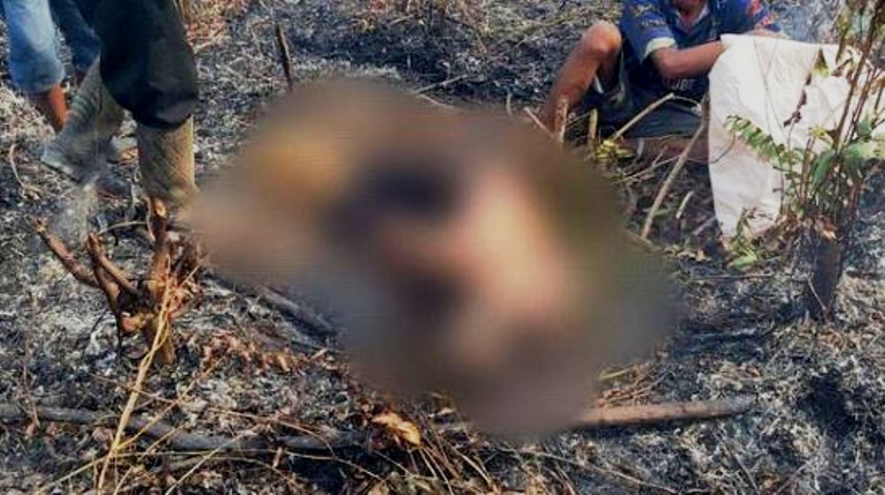 Niat Buka Lahan Sawit dengan Cara Dibakar, Muhadi Warga Muratara Malah Terkepung Api Hingga Tewas