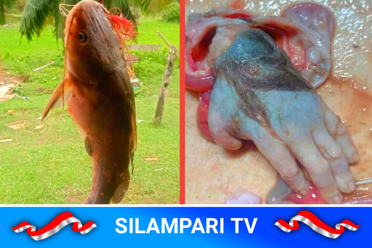 Viral! Emak-emak Temukan Tangan Dalam Perut Ikan, Warganet Heboh.