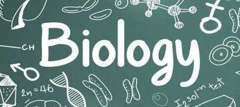 Penilaian Harian Biologi Kelas 12 SMA/MA: Materi Cabang Ilmu yang Berperan dalam Bioteknologi