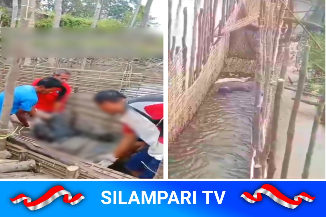 Misteri Mayat Pria di Sekayu, Ditemukan Tertelungkup di Dalam Corong Perangkap Ikan.