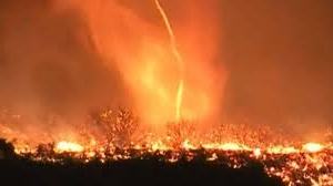 Fenomena Tornado Api Muncul di Tengah Kebakaran Dahsyat Los Angeles