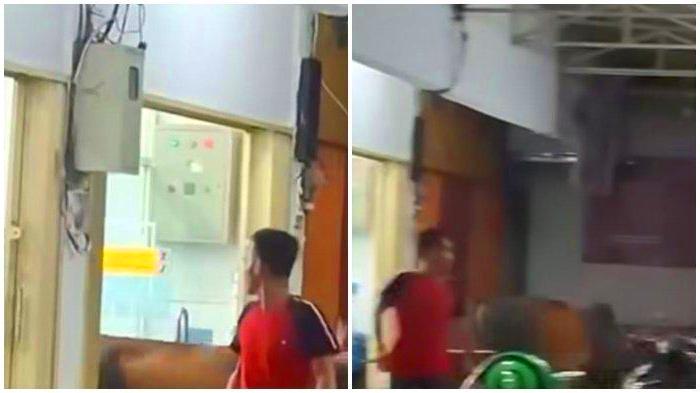 Viral! Seekor Sapi Masuk Indomaret di Plaju Palembang, Seruduk Motor dan Bikin Panik Warga
