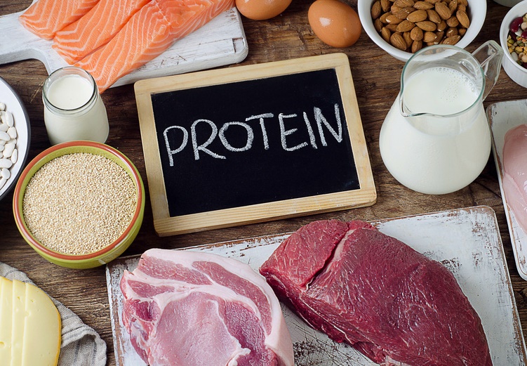 Makanan Tinggi Protein yang Dapat Menunjang Kesehatan Tubuh dan Meningkatkan Energi