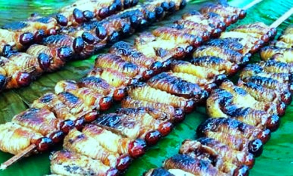 Mengenal Sate Ulat Sagu, Kuliner Indonesia yang Menarik Perhatian Dunia 
