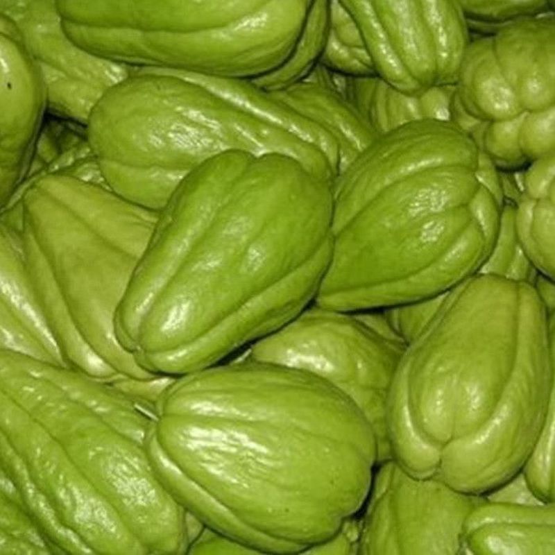 Efek Samping Mengonsumsi Labu Siam Secara Berlebihan: Ketahui Batas Aman Konsumsinya