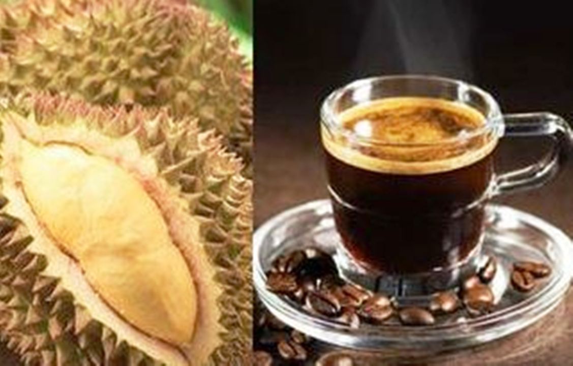 5 Manfaat Minum Kopi Campur Durian, Apakah Bagus Untuk Lambung?