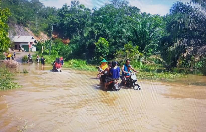 Banjir Melanda Desa Sri Mulyo Membuat Akses Jalan Terhambat Dan Kerugian Pembudidaya Ikan 