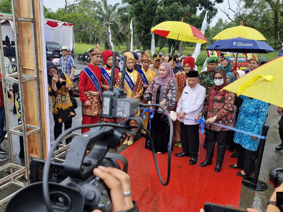 Aplikasi PLN Mobile Hadir Meriahkan HUT ke-11 Kabupaten PALI, Kendaraan Listrik Ramah Lingkungan