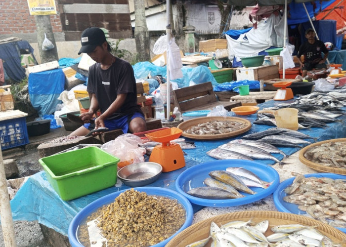 Serbu Ikan Laut dan Aneka Seafood Sebelum Harga Naik Jelang Tahun Baru 2024