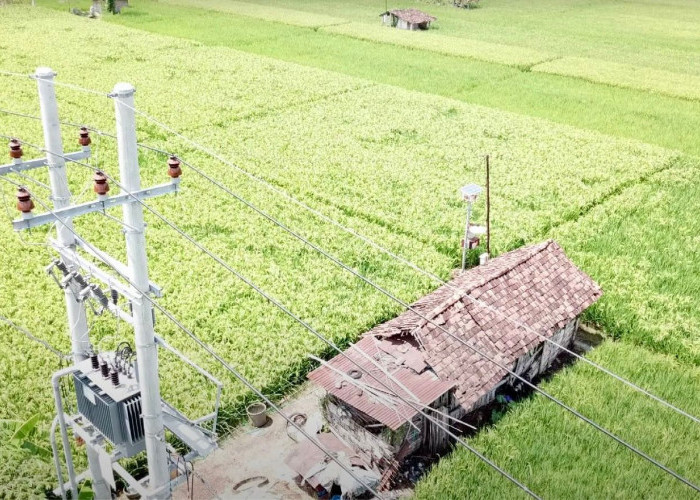 Sukses Menambah Pelanggan, Kunci Membaiknya Kinerja PLN 2023, Terbanyak dari Golongan Rumah Tangga