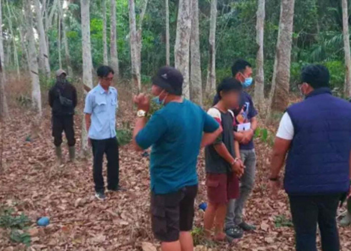 Nekat Curi Sawit Milik Perusahaan, Pria di OKI Tak Berkutik Disergap Polisi