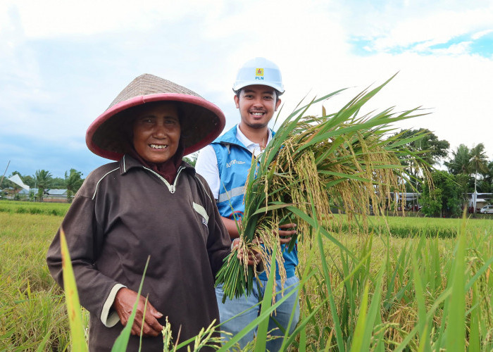 Inovasi Pertanian Berbasis Listrik: Electrifying Agriculture Hadir di Seluma Bengkulu, Dukung Program KPN