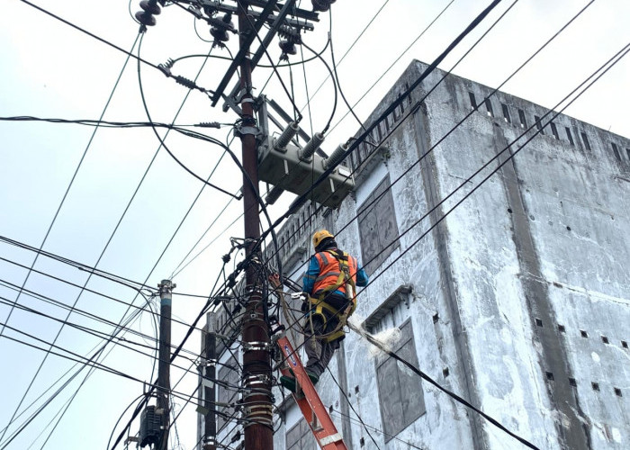 Strategi Preventif PLN Amankan Jaringan Listrik dari Potensi Gangguan Satwa di Bengkulu