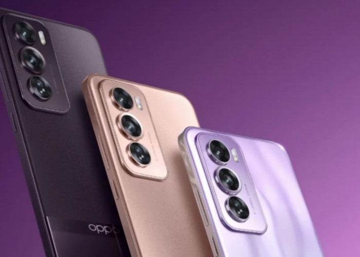 Oppo Reno 12 dan 12 Pro: Spesifikasi, Fitur, dan Harga Terbaru yang Menggoda