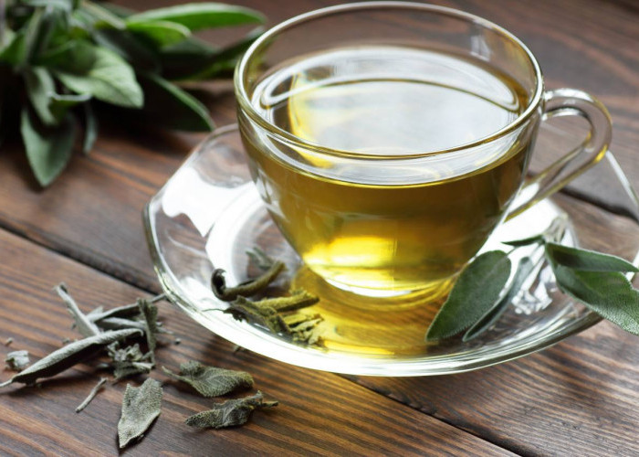 Studi Harvard: Minum Teh Hijau Bisa Cegah Penuaan Otak, Efeknya Terbukti!