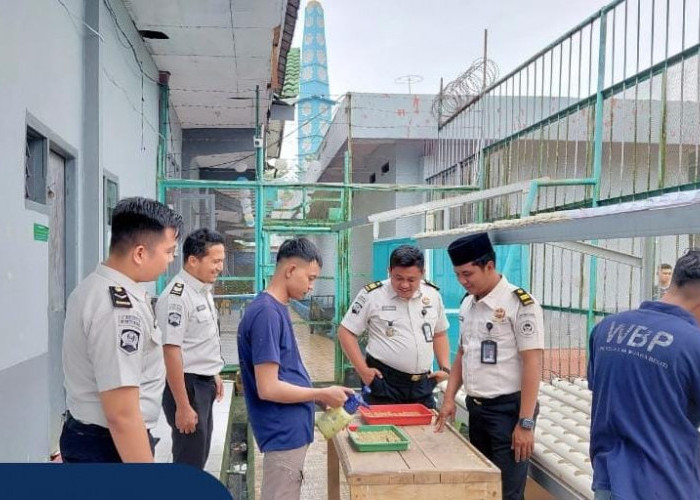Dukung Ketahanan Pangan, Giatja Lapas Narkotika Muara Beliti Laksanakan Penyemaian Bibit Pakcoy Secara Berkala