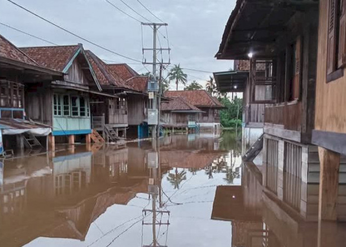 Banjir di Muratara Belum Surut, Puluhan Ribu Warga dan Ribuan Rumah Masih Terdampak