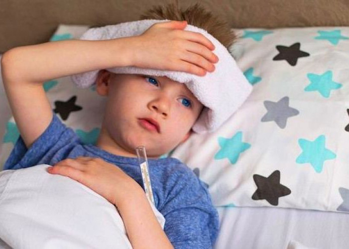 Warga Resah, Bocah 11 Tahun di Lubuklinggau Meninggal Akibat DBD