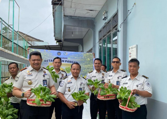 Produktif dan Mandiri, Kalapas Narkotika Muara Beliti Panen Melon Inthanon dan Sawi Hidroponik