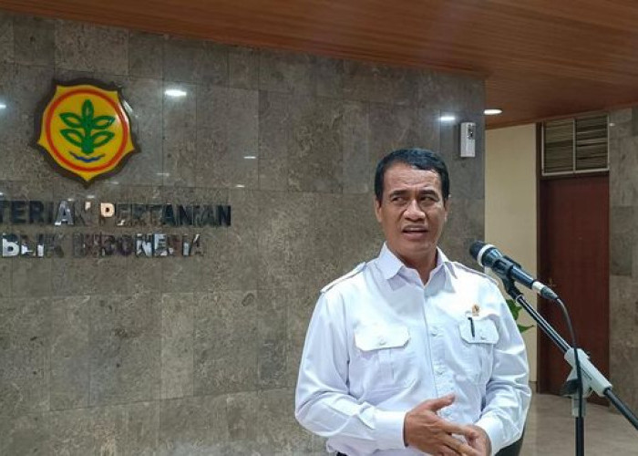 Pemerintah Tetapkan Harga Acuan Ayam Hidup dan Telur Mulai 15 Juli 2026, Lindungi Peternak dan Jaga Stabilitas