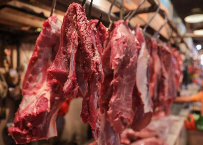 Harga Daging Sapi di Produsen Naik, Pemerintah Pastikan Harga Pasar Tetap Stabil