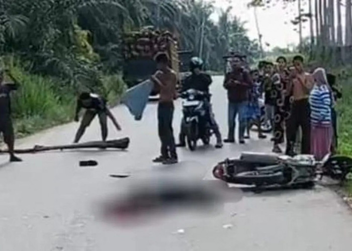 Petani di Muratara Tewas Usai Motor Tersenggol Truk Saat Menyalip